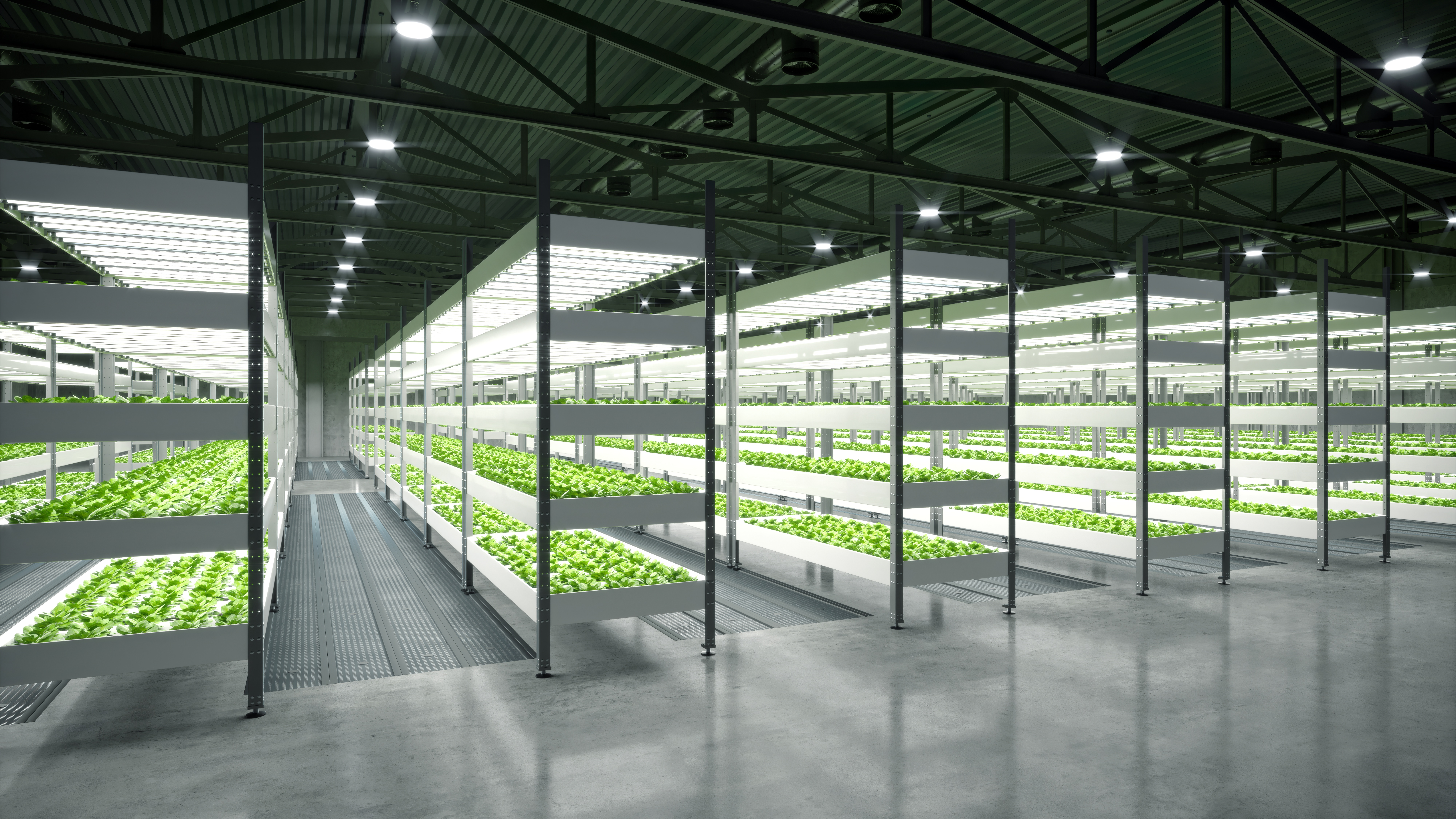 Vertical Farming: A new future for food production?