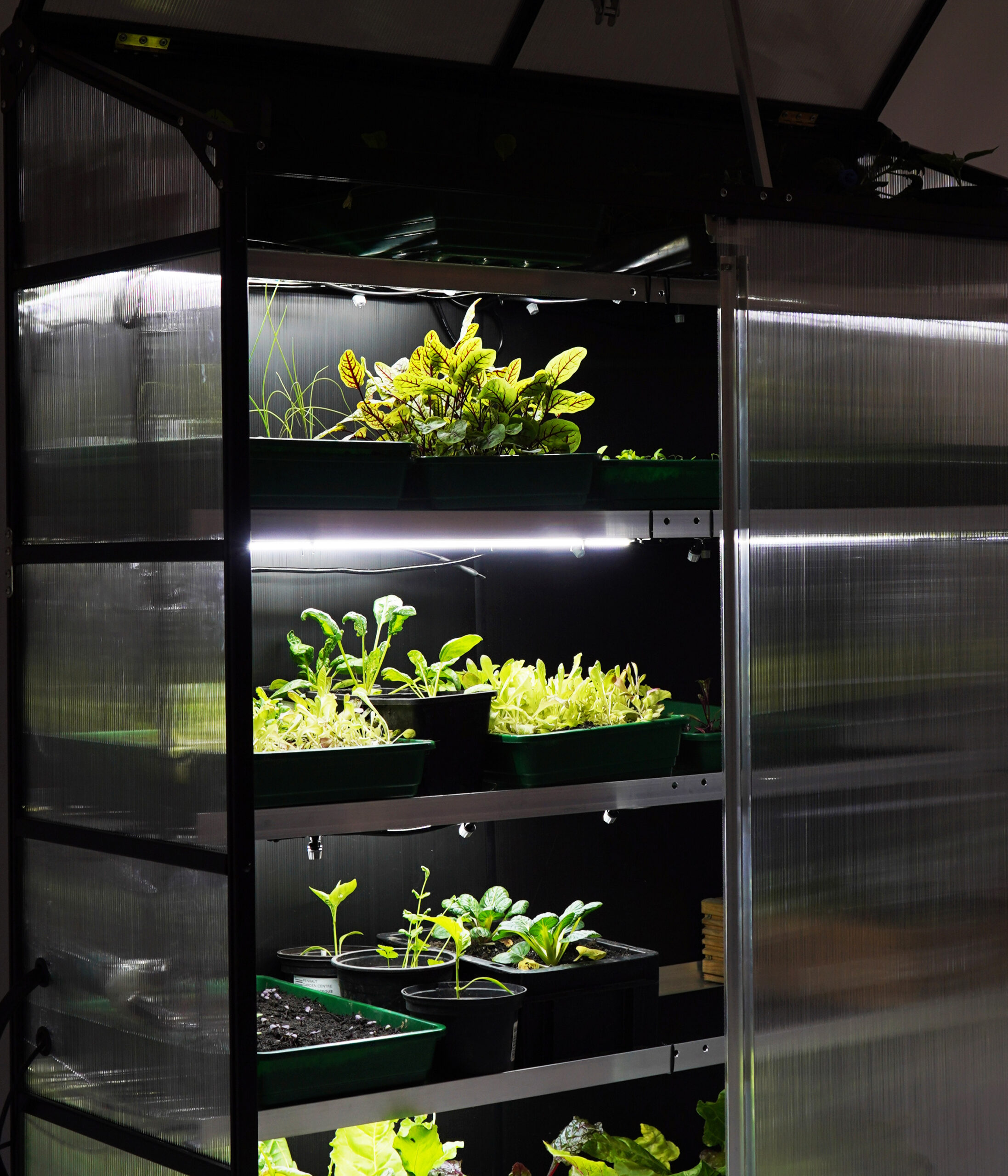 S24 light shelves