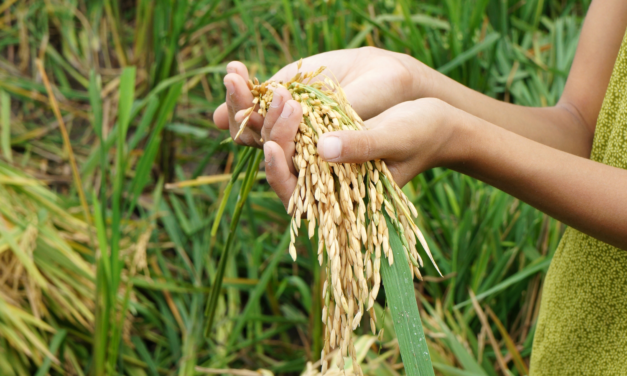 How can Vertical Farming Aid Food Security During a Global Food Crisis?